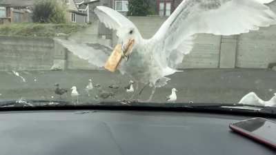 McD Apple Pie down the gullet