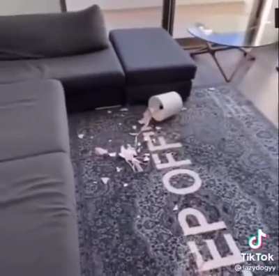Go fetch!