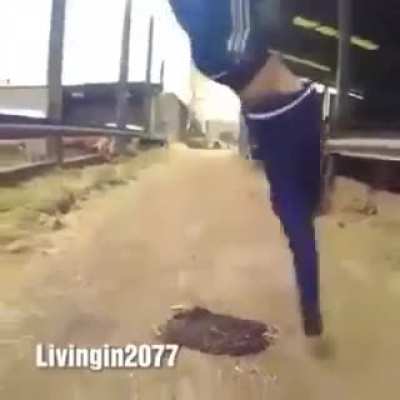 Calvo flip