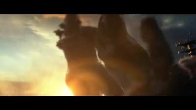 godzilla vs cat