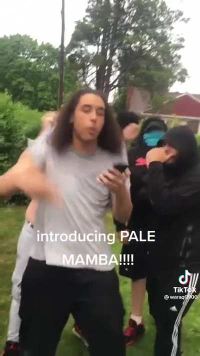 Introducing.. Pale Mamba