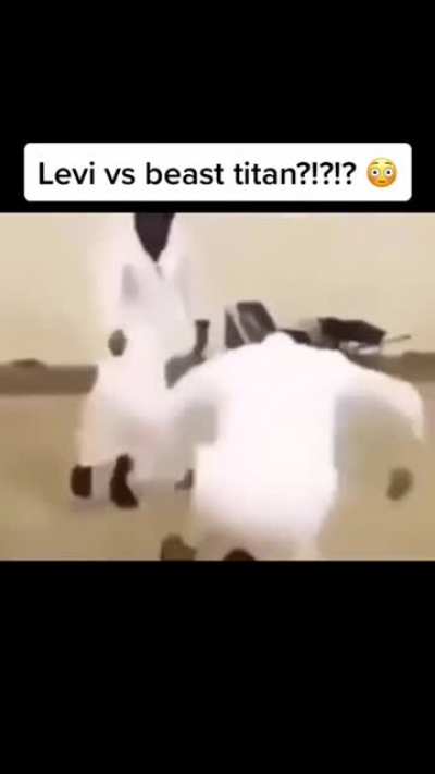 ليفاي