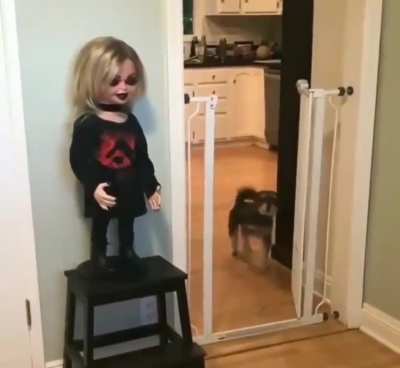 Oh Hell No!