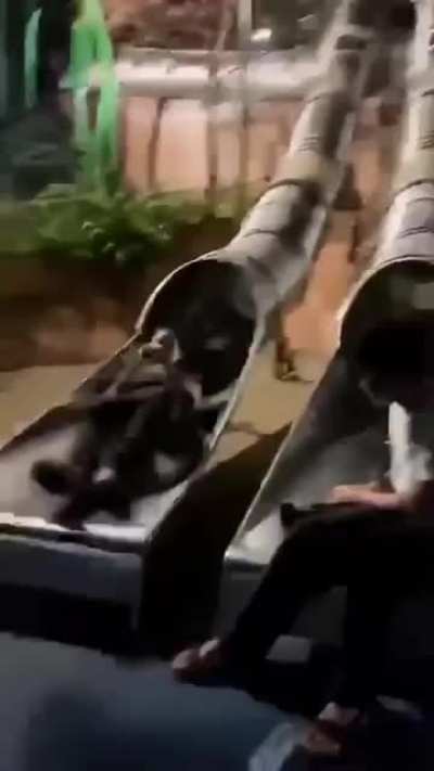 Slides can be fun!