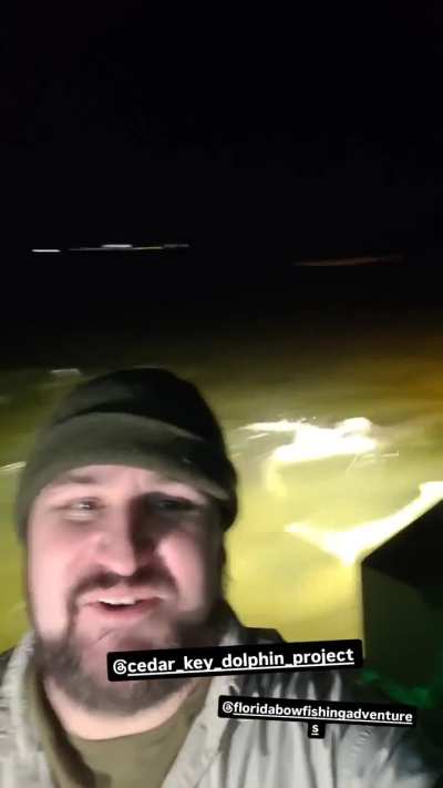 I went hunting with Dolphins last night