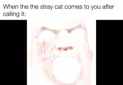 Oh my god