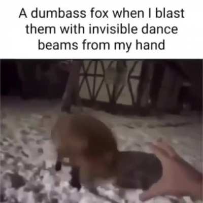 Fox Rule