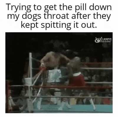 They eat the food but not the pill.