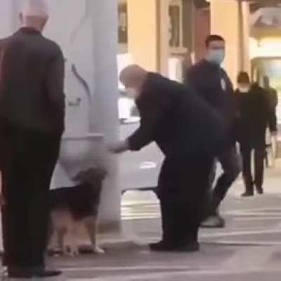 People looking after the animals are the best