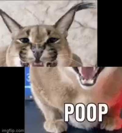 ese culo bota caca