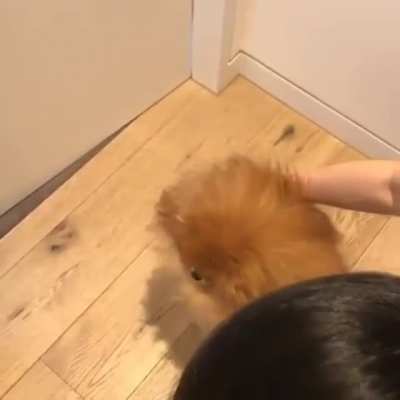 Awwwww