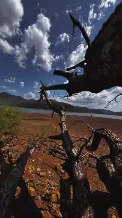 Few Best finds from nearby dam,