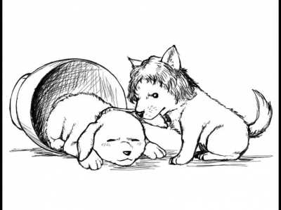Darkrai deja en paz al perrito en taza y acepta tu destino