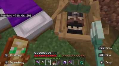 Floating villager