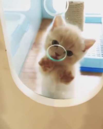 Nosy little munchkin!