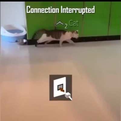 Taco Bell WiFi