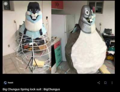 Yuor springlock suit is: