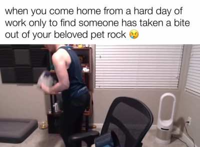 rocky 😢