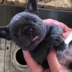 Tiny units first bath