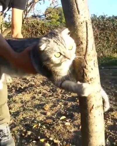 No don’t take me, this is my home now!