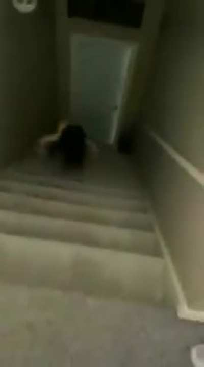 Looks like a rolling scorpion to me
