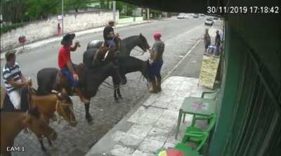No horses were harmed. Same can't be said for the people.