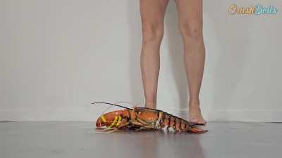 Lousy Lobster