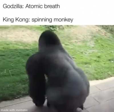 King Kong vs Godzilla