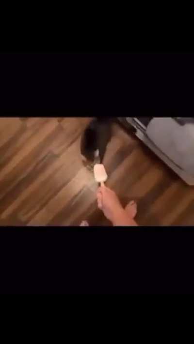Please don't