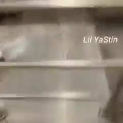 XD