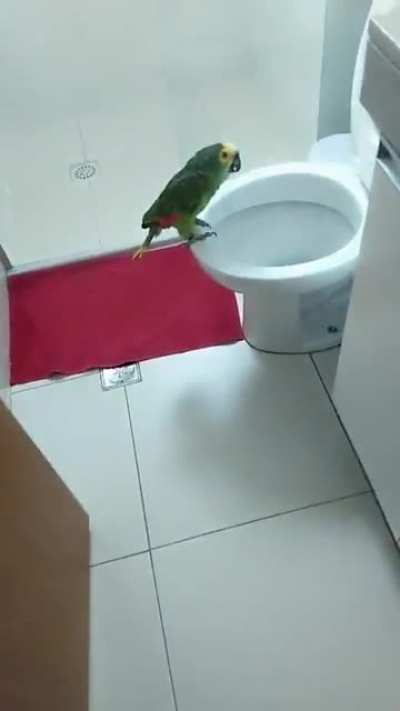 Singing in the bathroom