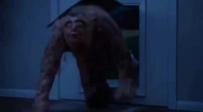 Doggie door