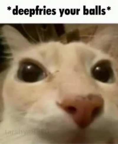 balls