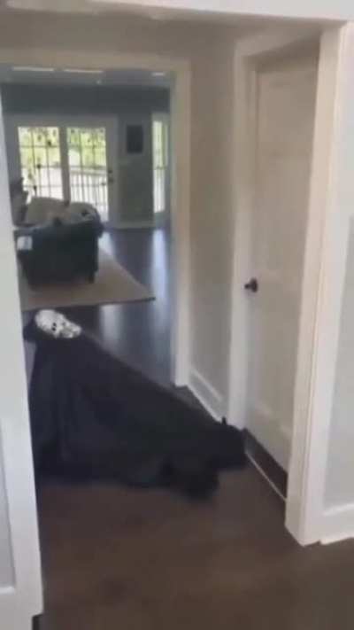 She thought it was a dream