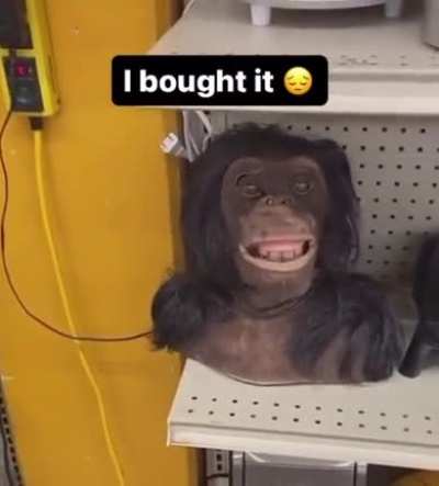 Take my money