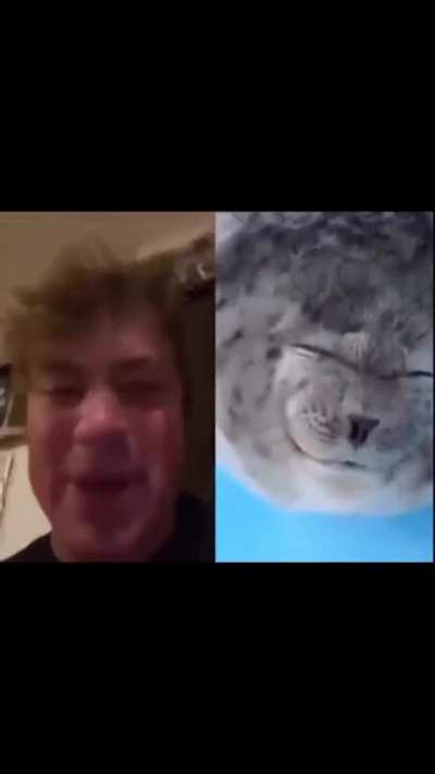 😜