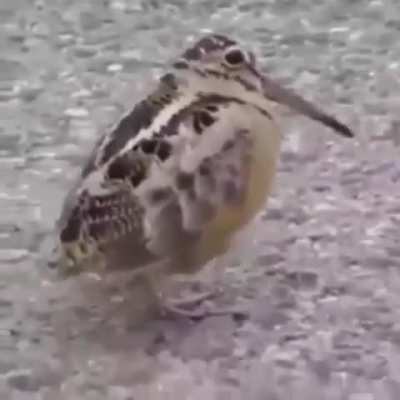 🕺