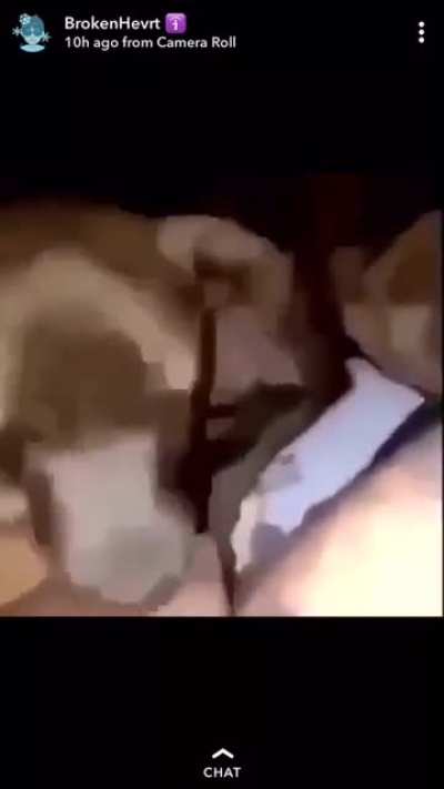 Som sa zľakol