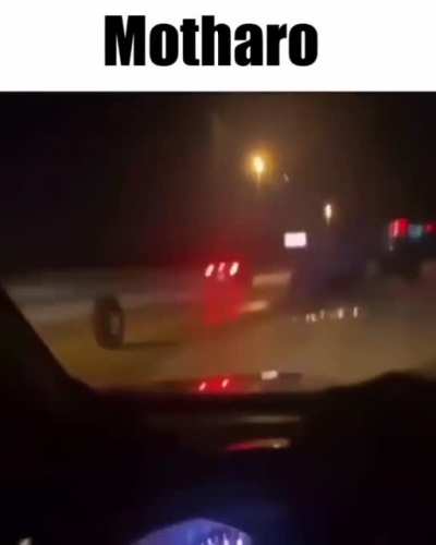 pero morado