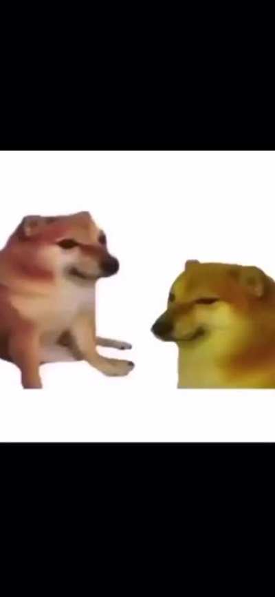 me_irl
