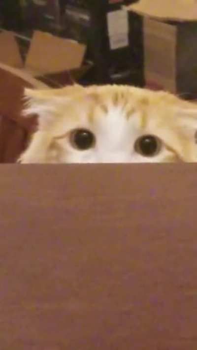 Airplane peek