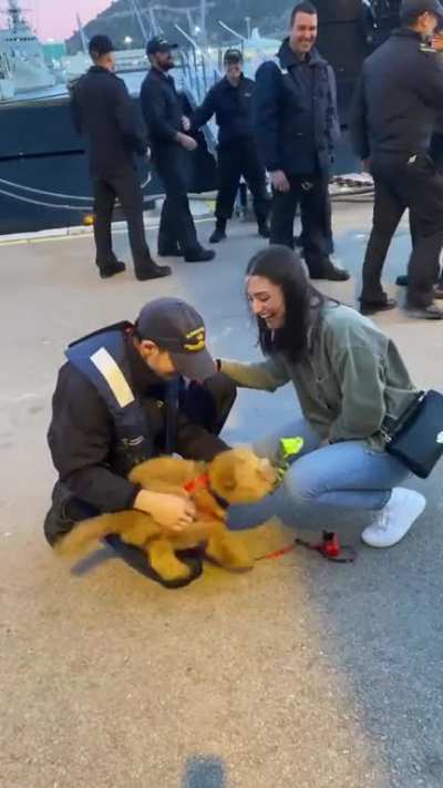 Puppy gets overwhelmed when owner returns