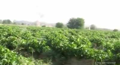 Compilation of Taliban being Killed
