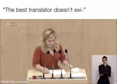 The Best Translator Doesn't Exi-