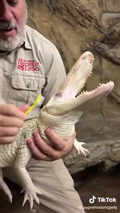 Giving Coconut a back scratch