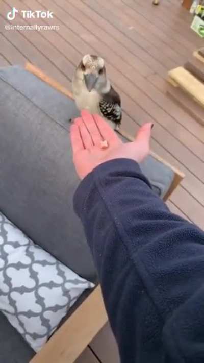 Got a little too excited