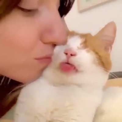 Longest blep