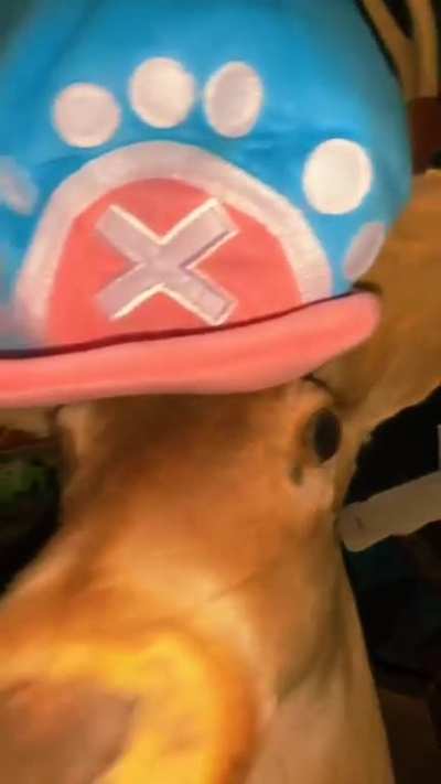 Creo que ta un poco tieso