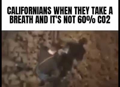 CO2