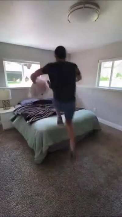 Oh shit I forgot about the chores